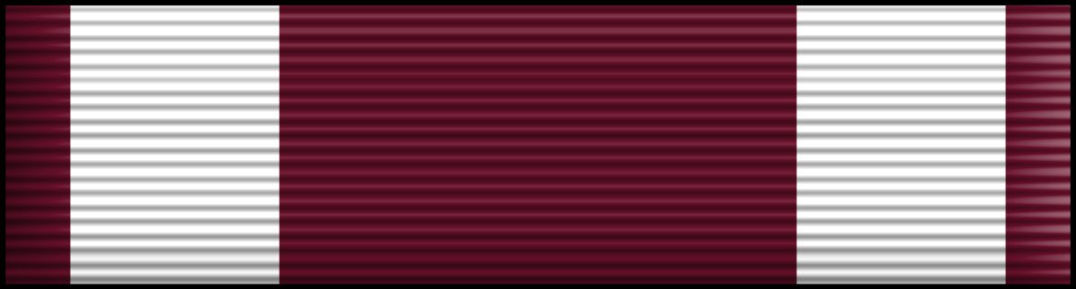 meritorious medal